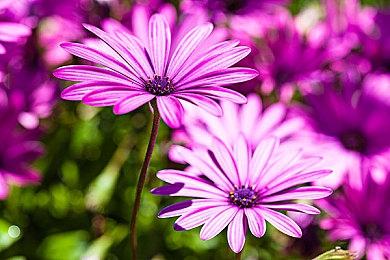 《合金装备Δ：食蛇者》和《合金装备3》画面对比